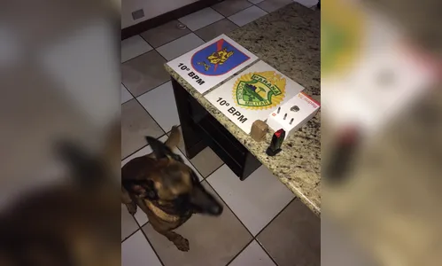 PM de Apucarana cumpre mandados de busca e apreensão