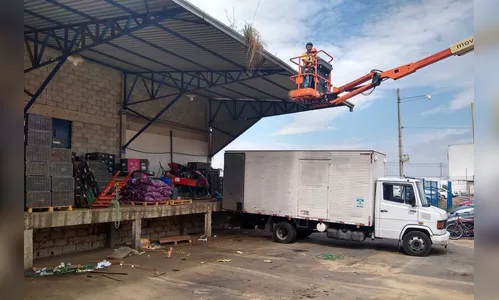 Ceasa promove mutirão para eliminar criadouros do Aedes aegypti