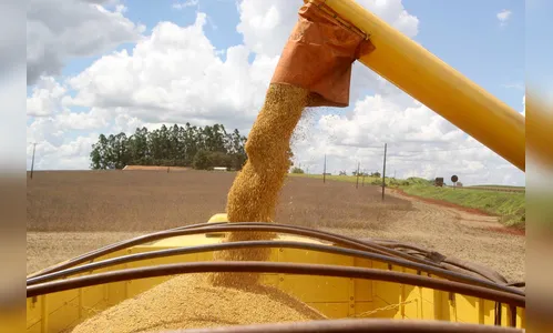 Paraná deve produzir 23,4 milhões de toneladas de grãos