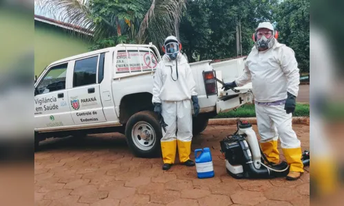 
							Ivaiporã e Godoy Moreira fazem uso do Malathion para controlar epidemia de dengue
						
						
