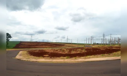 Contra dengue, prefeitura faz a roçagem no Parque Industrial e outros terrenos