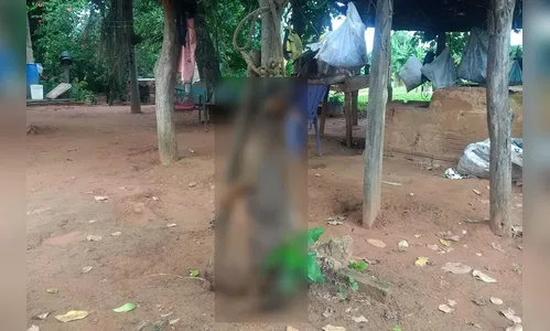 Idoso é preso após pendurar cadela e matá-la a machadadas