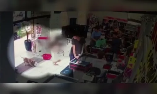 Criança é atacada por pit-bull dentro de mercado; assista