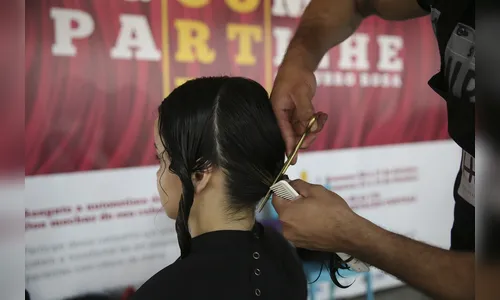 Sebrae identifica os segmentos mais promissores para pequenos negócios em 2020