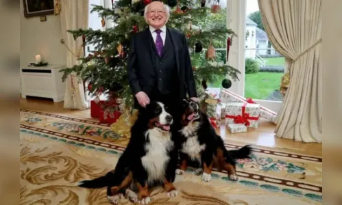 Cachorros do presidente da Irlanda fazem sucesso em eventos oficiais