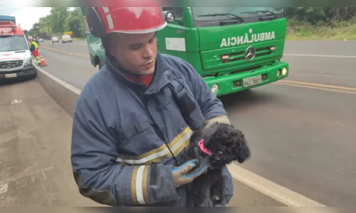 
						
							Acidente entre carros, caminhão e ambulância deixa quatro pessoas e um cachorro feridos
						
						