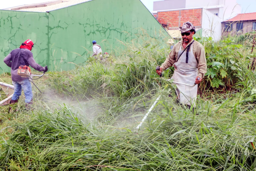 Terceirizada executa limpeza de terrenos baldios em Apucarana