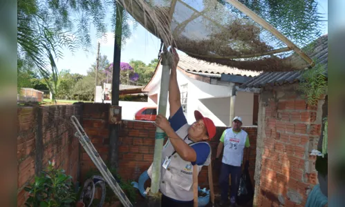 
							Em meio a epidemia de dengue, população de Ivaiporã aguarda caminhonete do fumacê
						
						