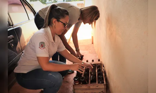 Arapongas apresenta nove casos de dengue; saúde reforça atenção
