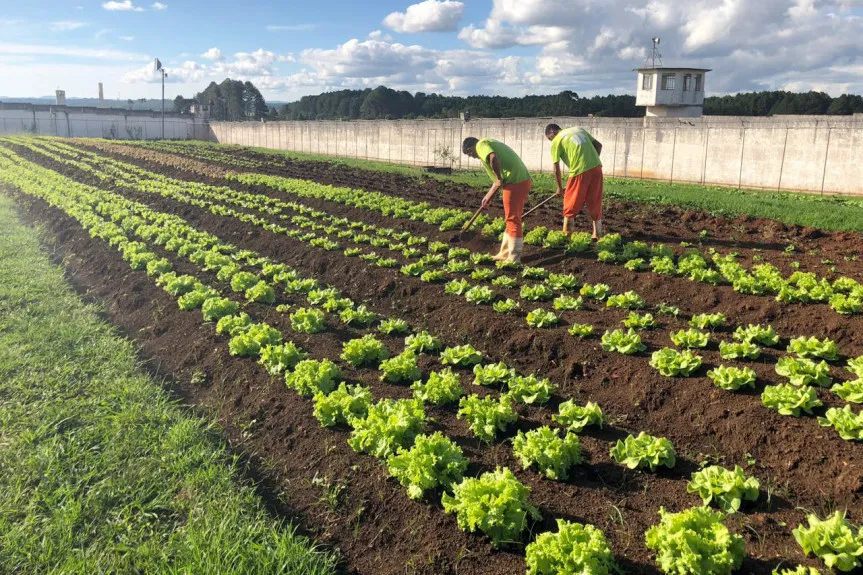 Como aumentar a produção de orgânicos no Paraná? Assembleia debate o tema