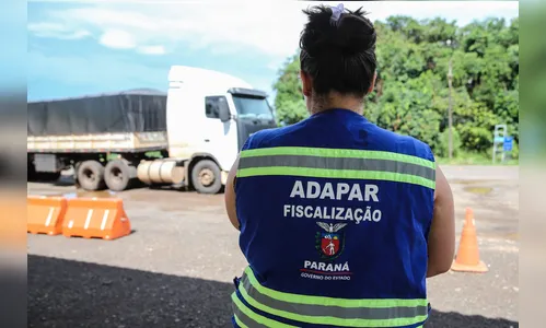 Estado vai contratar veterinários e técnicos agropecuários