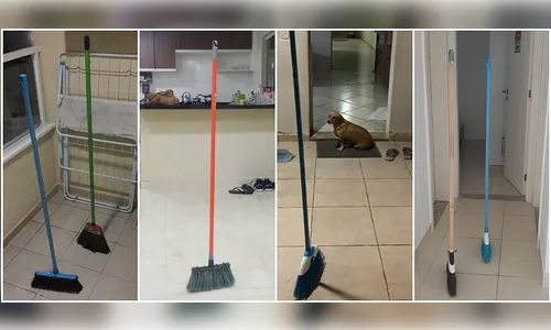 Vassouras em pé: entenda o teste que movimentou a internet