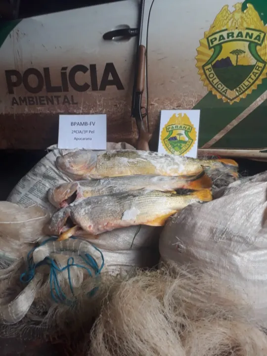 Homem é detido por posse de arma de fogo e por pesca predatória de dourado, em Ivaiporã