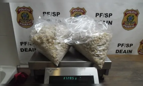 Receita e PF interditam drogas orgânicas e sintéticas dentro de bagagens no Aeroporto de SP