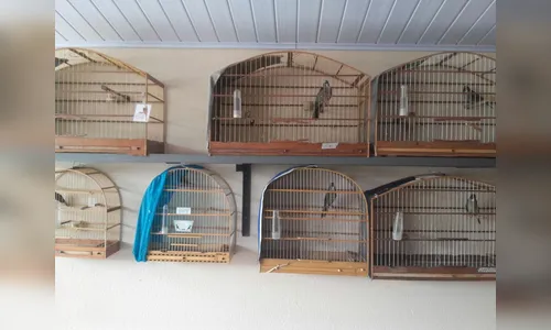 PM Ambiental multa homem em R$26 mil por apanhar espécimes da fauna, em Apucarana 