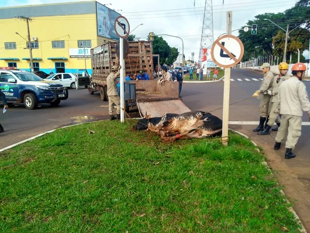 (Foto: Osvaldo Nóbrega/TV Morena)