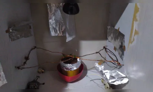 
							Filho ameaça mãe de morte em Apucarana e acaba preso por tráfico
						
						