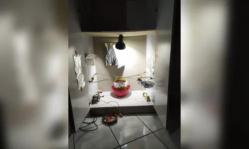 Filho ameaça mãe de morte em Apucarana e acaba preso por tráfico