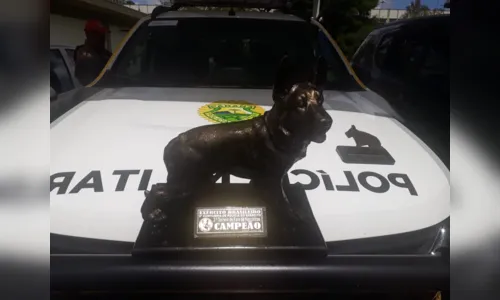 
							Cão Horus da PRE é campeão em torneio de faro
						
						