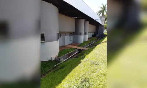 
							Ginásio do Lagoão é alvo de pichação em Apucarana
						
						
