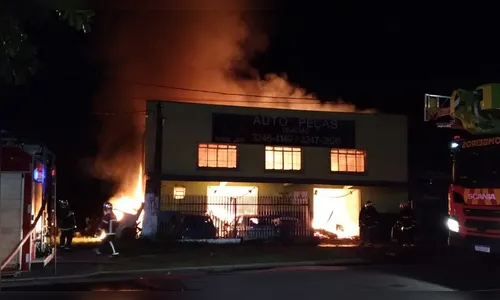 Bombeiros salvam dois cachorros de incêndio em empresa de autopeças, no Paraná