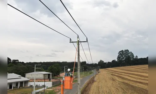 Copel completa 200 mil km em redes de distribuição