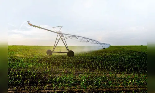 Programa de Irrigação no Noroeste do Paraná é tema do grande expediente da sessão plenária