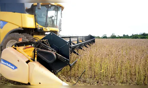 Safra de soja deve superar 1 mi de t na região