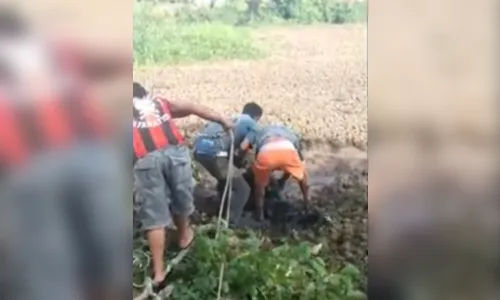 Idoso fica atolado até a boca em lamaçal e é resgatado por moradores, no Paraná; veja vídeo