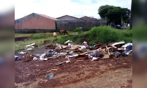 
						
							Trabalho de transformar lixões em jardins avança, em Arapongas
						
						