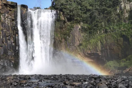 Portal Viaje Paraná completa um ano com recorde de audiência