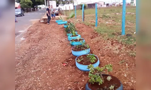 
						
							Trabalho de transformar lixões em jardins avança, em Arapongas
						
						