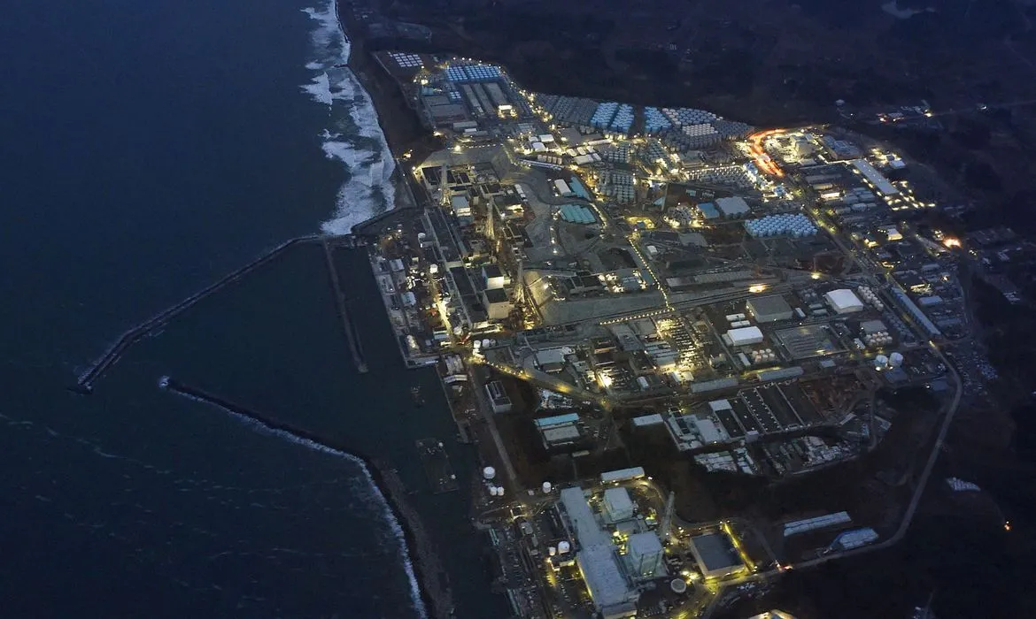 Especialistas americanos estudam ecossistema pós-tsunami no Japão