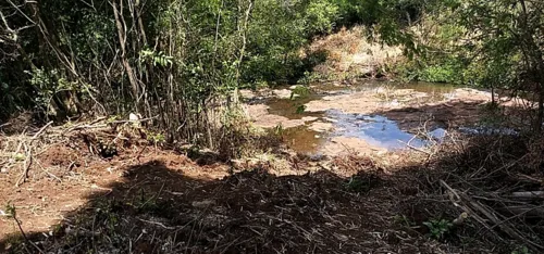 Fotos: Polícia Ambiental de Apucarana (Divulgação)