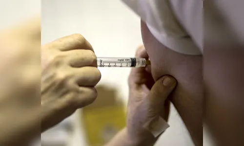 Paraná confirma mais 30 mortes de macacos por febre amarela