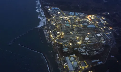 Especialistas americanos estudam ecossistema pós-tsunami no Japão