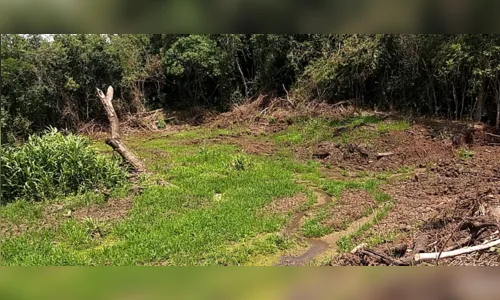 
						
							Polícia Ambiental autua proprietário rural por danos ambientais em Kaloré
						
						