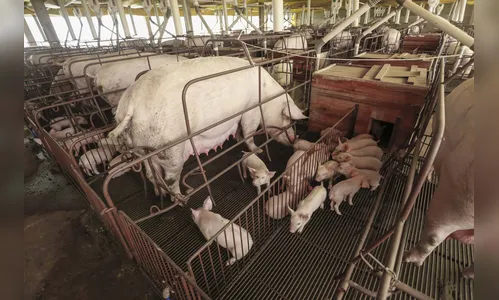 Interior terá rodada de palestras sobre o Descomplica Rural