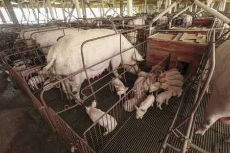 Interior terá rodada de palestras sobre o Descomplica Rural