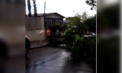 Chuva causa estragos e alaga alguns pontos de Apucarana na tarde desta quarta (19); assista 