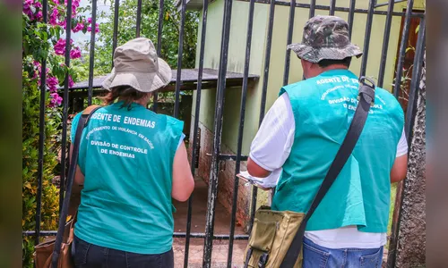 Clima exige cuidados redobrados com a dengue