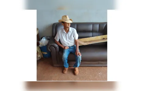 Idoso que morreu após ser atacado por enxame de abelhas, em Marilândia do Sul é identificado 