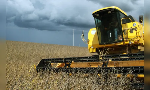 Paraná deve produzir 24,1 milhões de toneladas de grãos