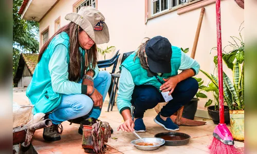 Ação de combate contra a dengue será realizada em Apucarana