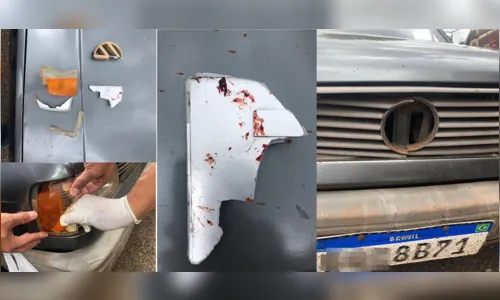 
							Polícia Civil de Faxinal prende motorista que atropelou e matou pedestre
						
						