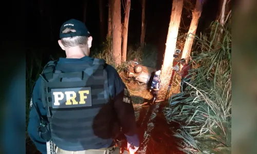 
							Empresário morre após capotar e bater contra árvores, em Jandaia do Sul
						
						