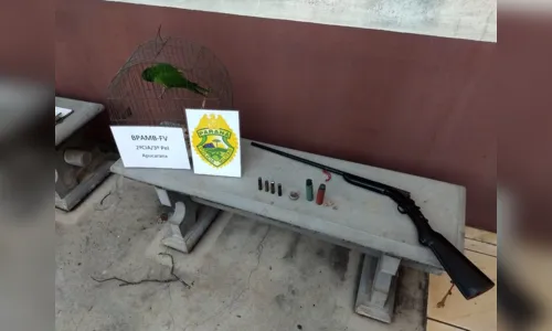 Em Mauá da Serra, Polícia Ambiental apreende periquito em cativeiro e espingarda .32