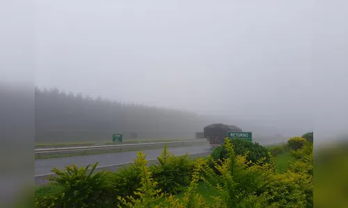 Neblina marca o amanhecer em Apucarana e região