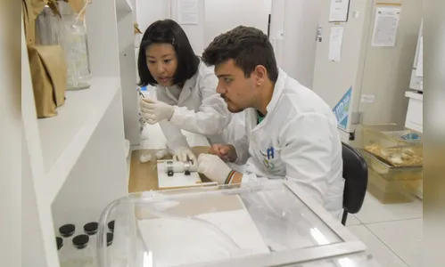 Pesquisadores destacam pesquisa no combate ao câncer