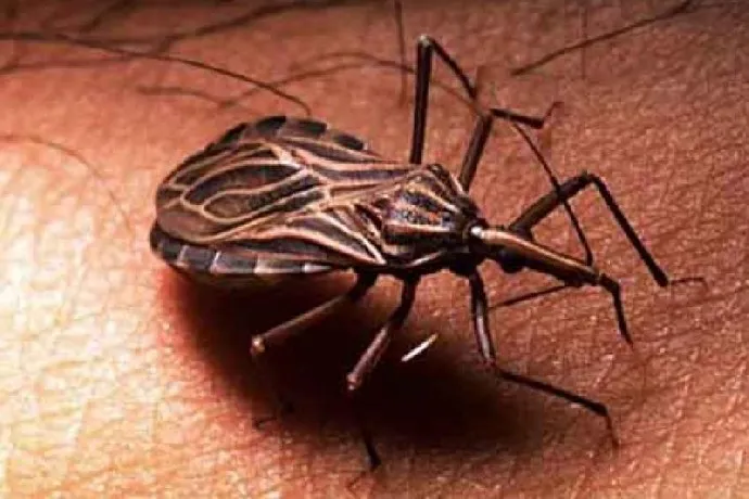 Sesa promove capacitação sobre Doença de Chagas